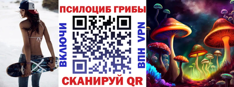 Галлюциногенные грибы Psilocybine cubensis  Копейск 